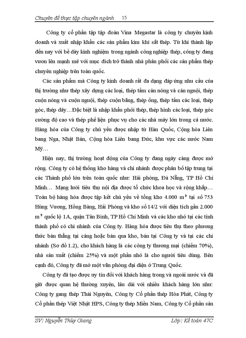 image for page Hoàn thiện kế toán tiêu thụ hàng hóa và xác định kết quả tiêu thụ hàng hóa tại công ty cổ phần tập đoàn vina megastar