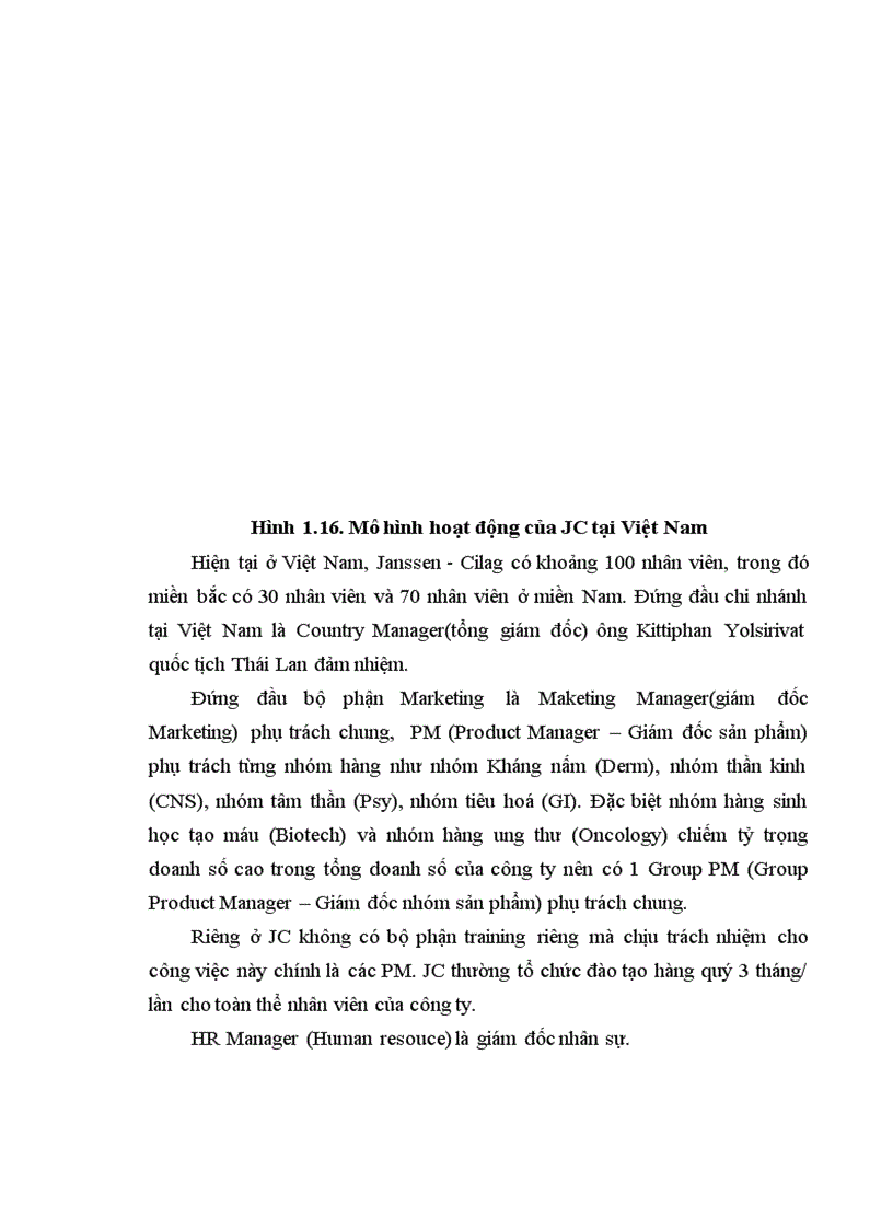 image for page Nghiên cứu sự vận dụng chính sách sản phẩm và chính sách xúc tiến hỗ trợ kinh doanh của công ty dược phẩm Janssen Cilag tại Việt Nam giai đoạn 2003