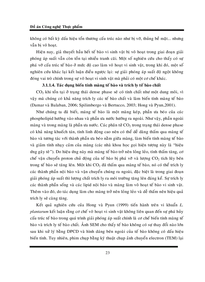 image for page Tổng quan tài liệu về kỹ thuật Dense Phase CO2 DPCD Nguyên lý ứng dụng trong công nghệ thực phẩm