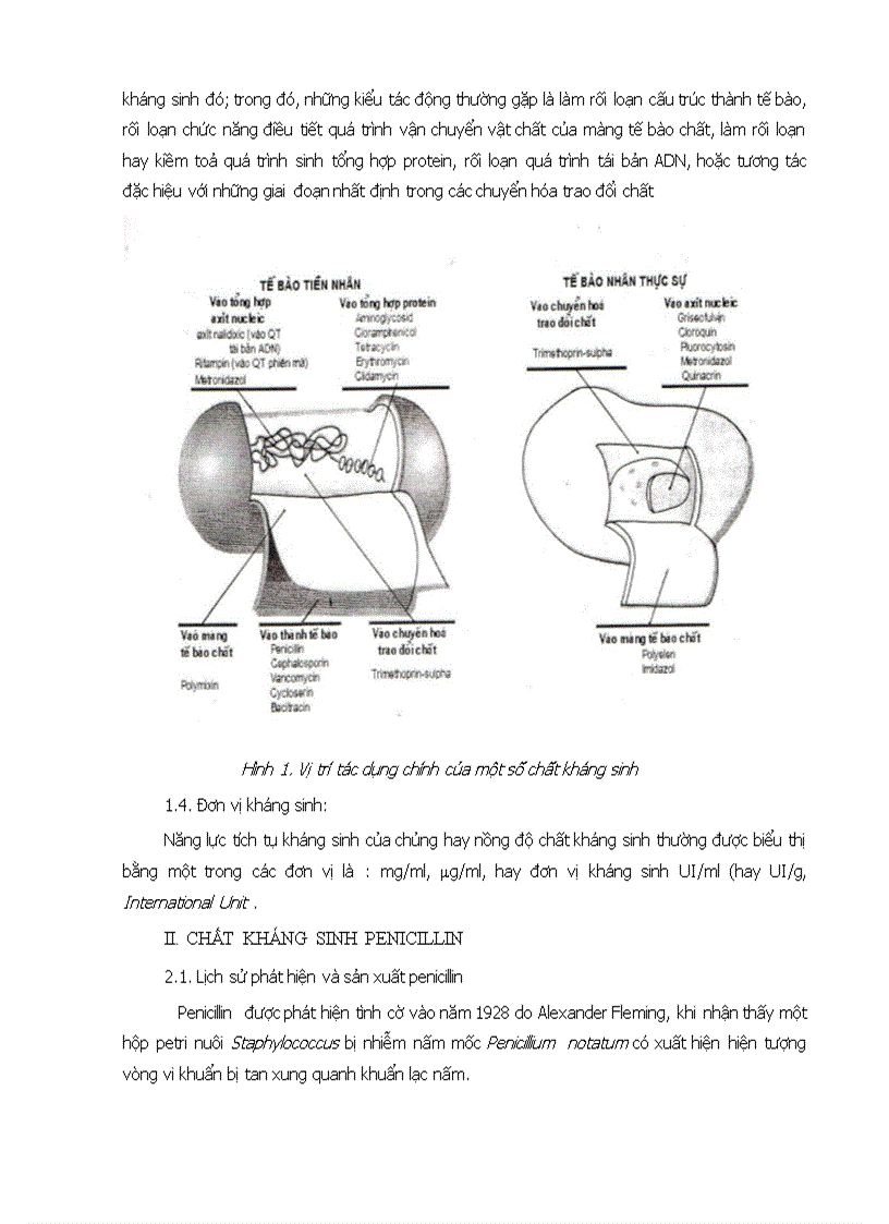 image for page Nghiên cứu quy trình sản xuất thuốc kháng sinh penicilin từ vi sinh vật