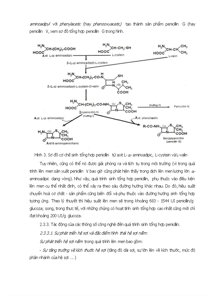 image for page Nghiên cứu quy trình sản xuất thuốc kháng sinh penicilin từ vi sinh vật