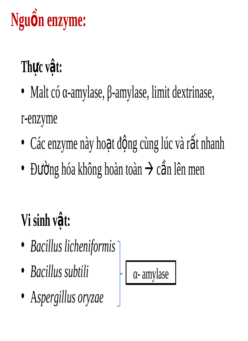 image for page Lên men rượu từ tinh bột file ppt