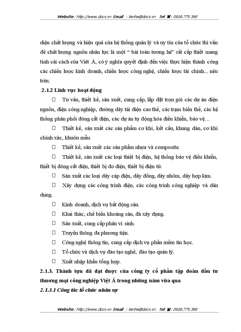 image for page Hoàn thiện cơ cấu tổ chức Công ty cổ phần tập đoàn đầu tư thương mại công nghiệp Việt Á