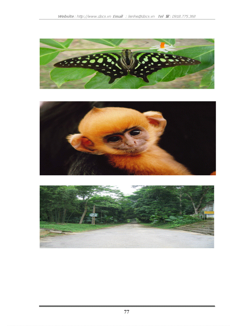 image for page Xây dựng mô hình du lịch vì người nghèo tại vườn quốc gia Cúc Phương