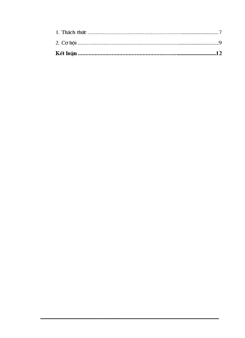 image for page Cơ hội và thách thức của các doanh nghiệp Việt Nam trong quá trình hội nhập kinh tế quốc tế hiện nay