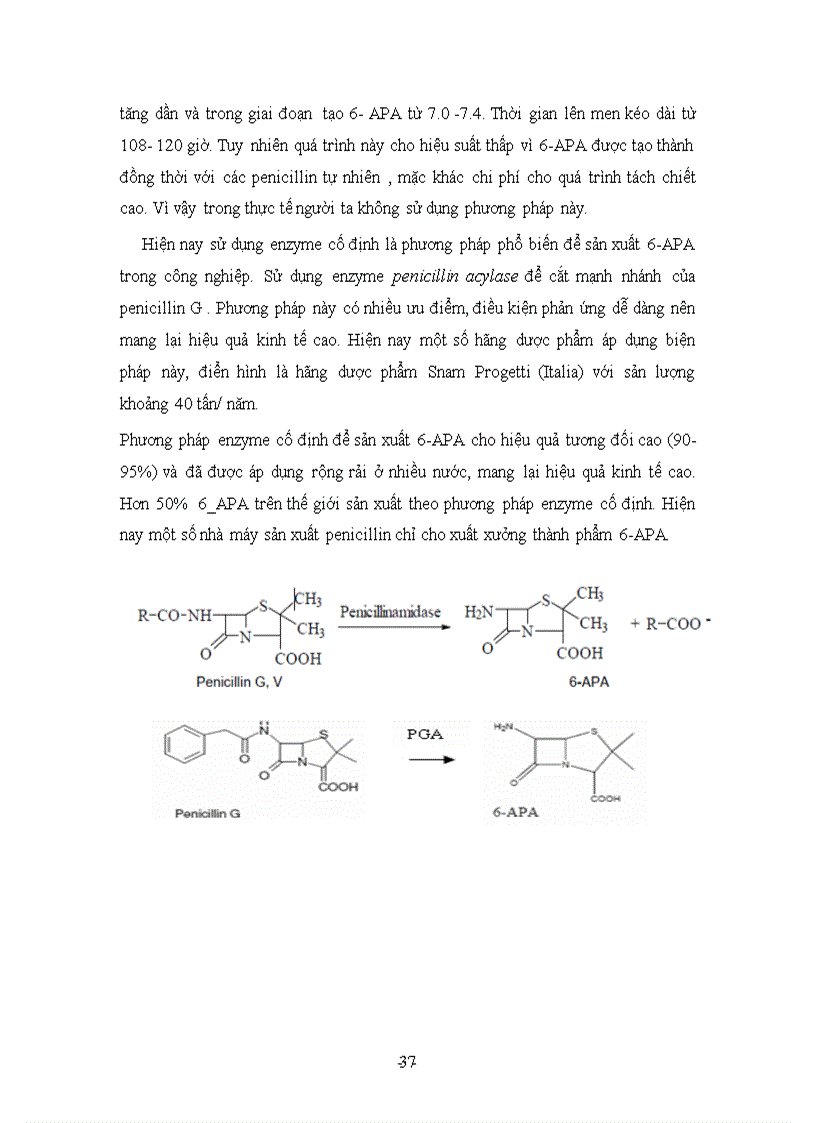 image for page Nghiên cứu quy trình sản xuất kháng sinh penicillin bằng enzyme cố định penicillin acylase
