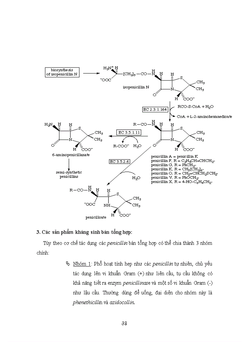image for page Nghiên cứu quy trình sản xuất kháng sinh penicillin bằng enzyme cố định penicillin acylase