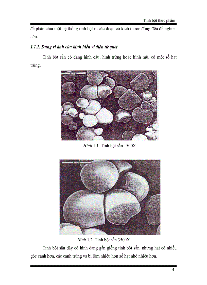 Tinh bột thực phẩm