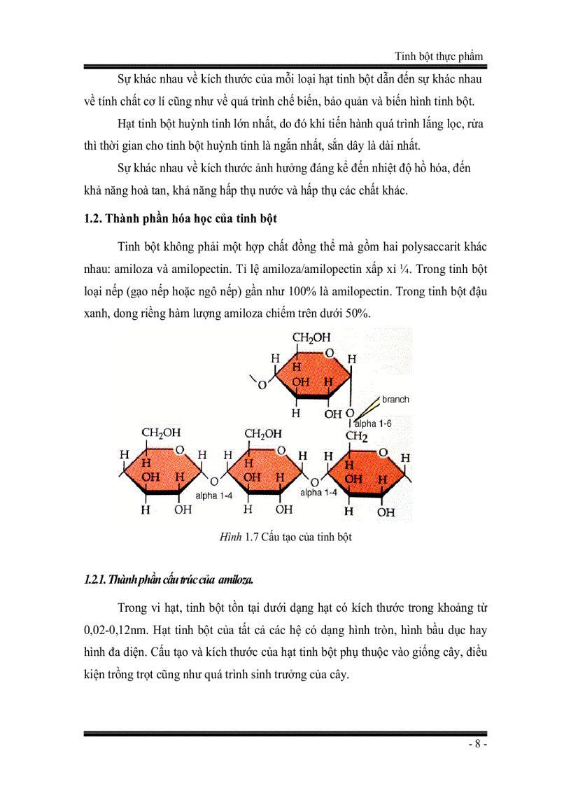 image for page Tinh bột thực phẩm