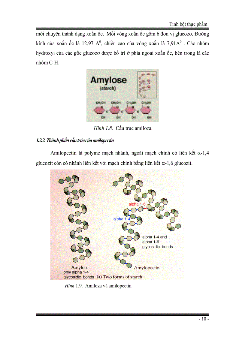 image for page Tinh bột thực phẩm