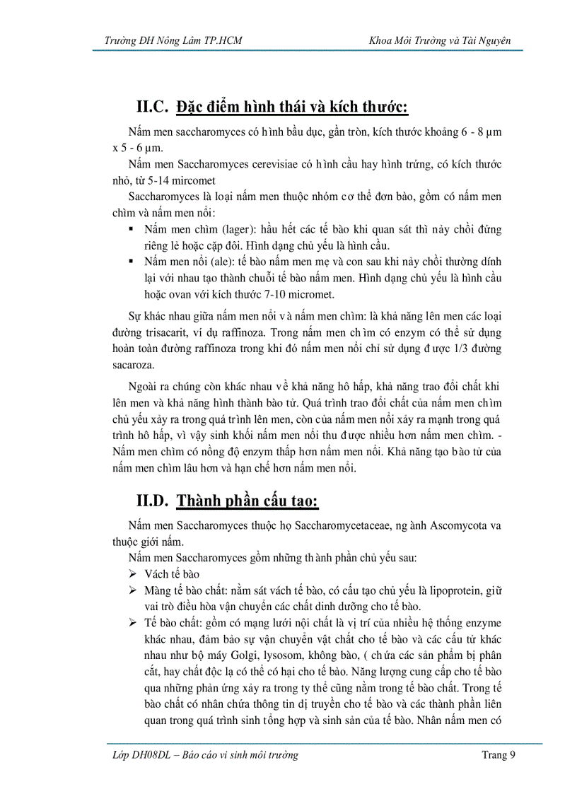 image for page Ứng dụng vi sinh vật trong sản xuất bánh mì