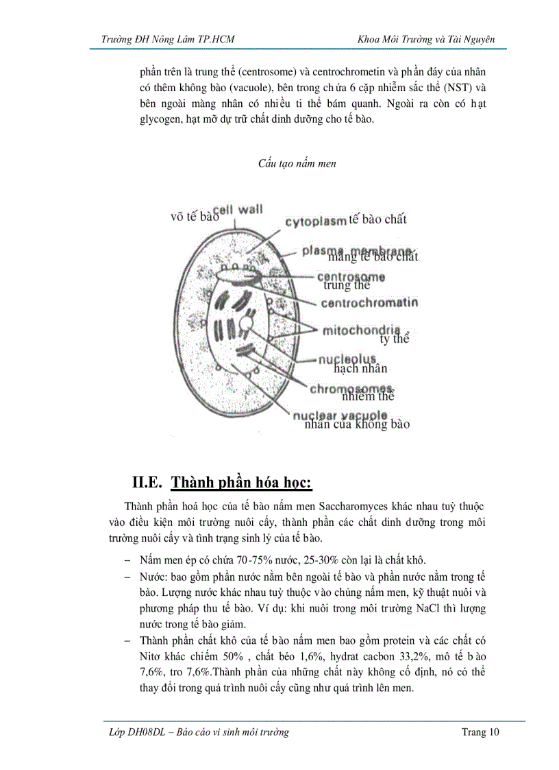 image for page Ứng dụng vi sinh vật trong sản xuất bánh mì