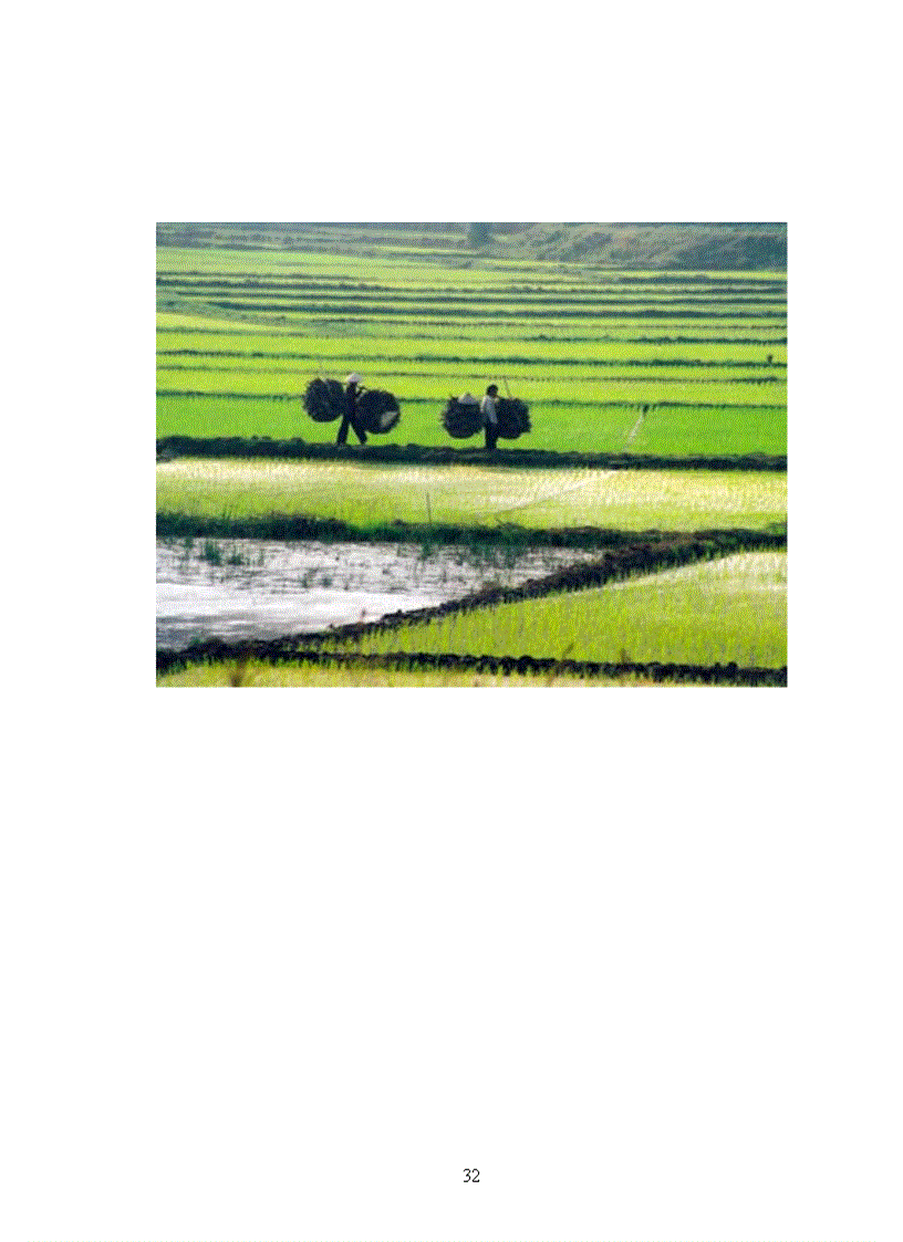 image for page Ônhiễm môi trường ở nông thôn