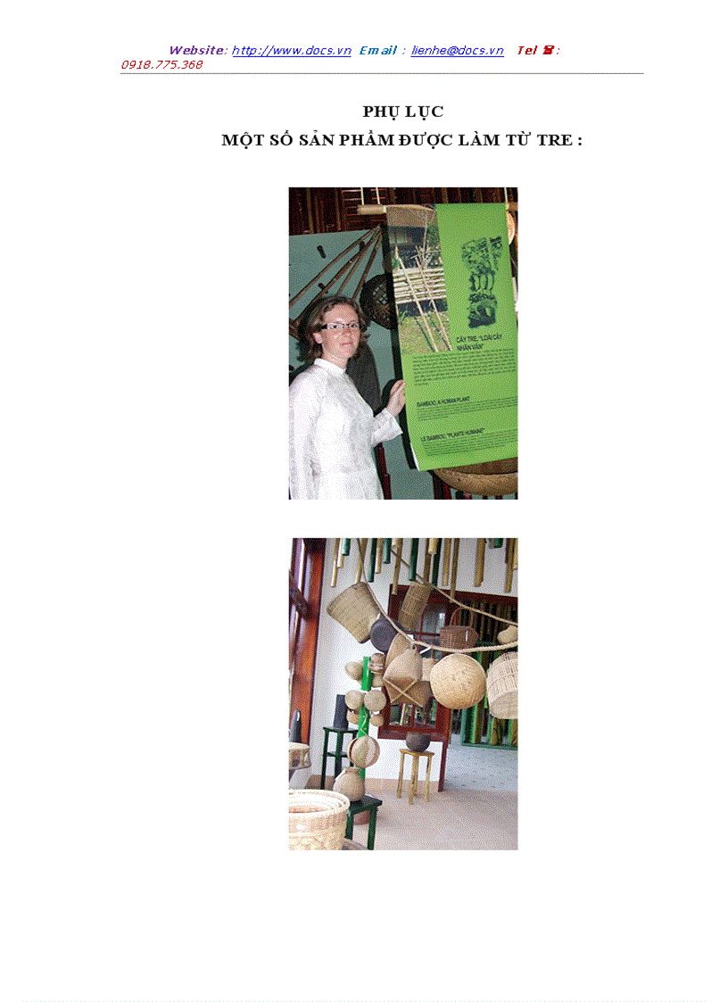 image for page Cây tre biểu tượng văn hóa Việt Nam