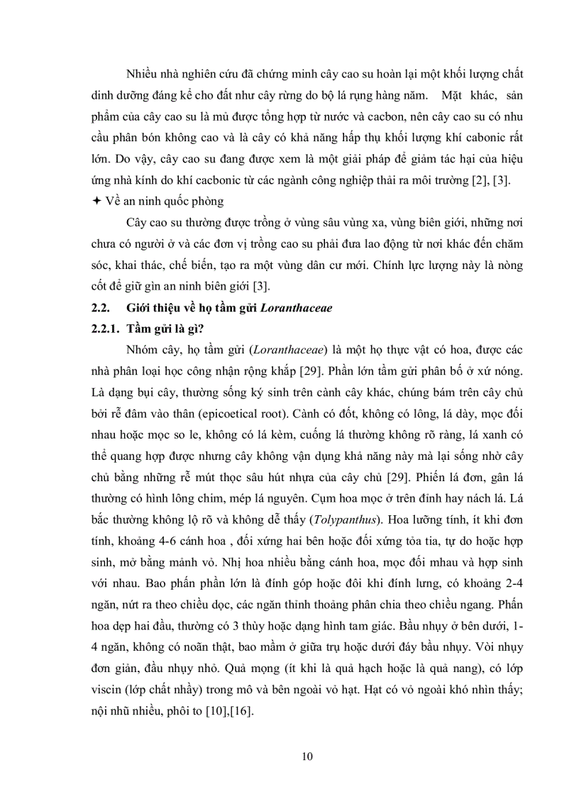 image for page Khảo sát đặc điểm sinh học và chu trình phát triển của loài tầm gửi Macrosolen cochinchinensis trên cây cao su Hevea Brasilentisis