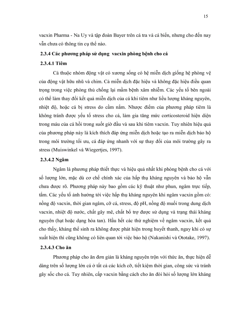 image for page Xác định tính sinh miễn dịch và hiệu quả của các loại vacxin từ vi khuẩn Edwardsiella ictaluri phân lập trên cá tra tại các vùng địa lý vào các thời