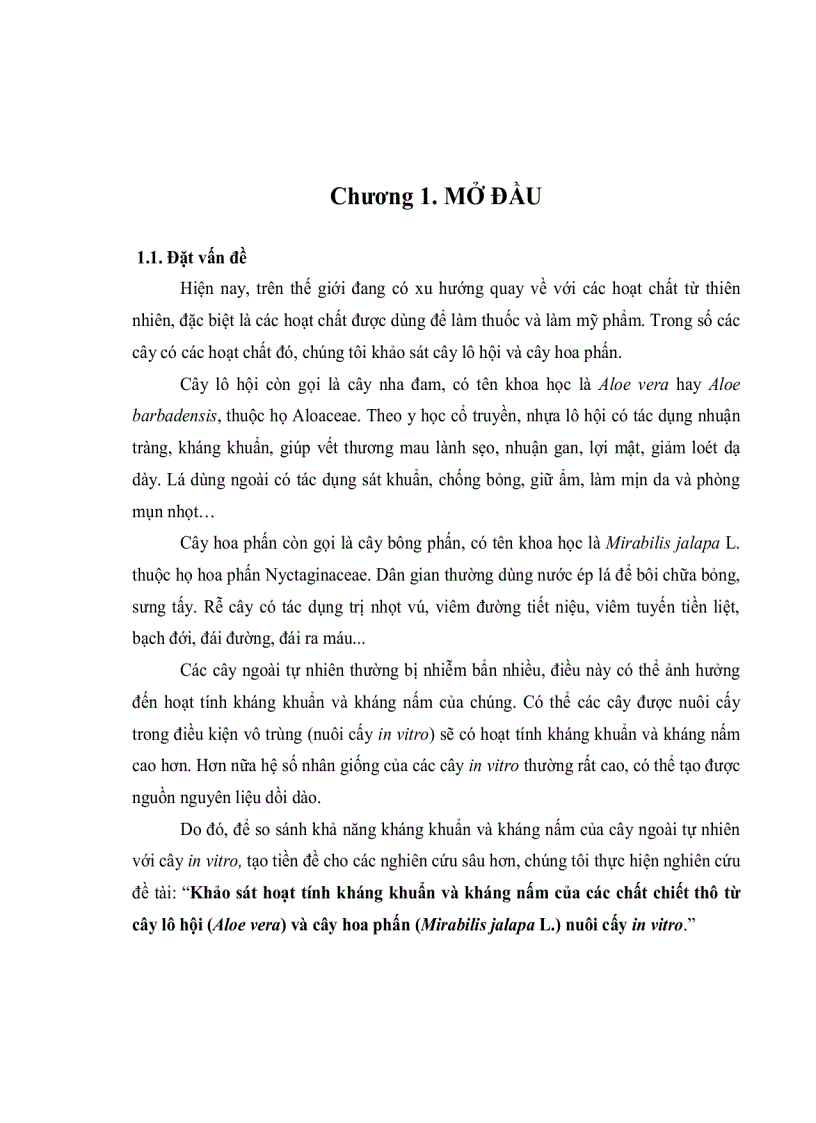 image for page Khảo sát hoạt tính kháng khuẩn và kháng nấm của các chất chiết thô từ cây lô hội Aloe vera và cây hoa phấn Mirabilis japala L nuôi cấy in vitro