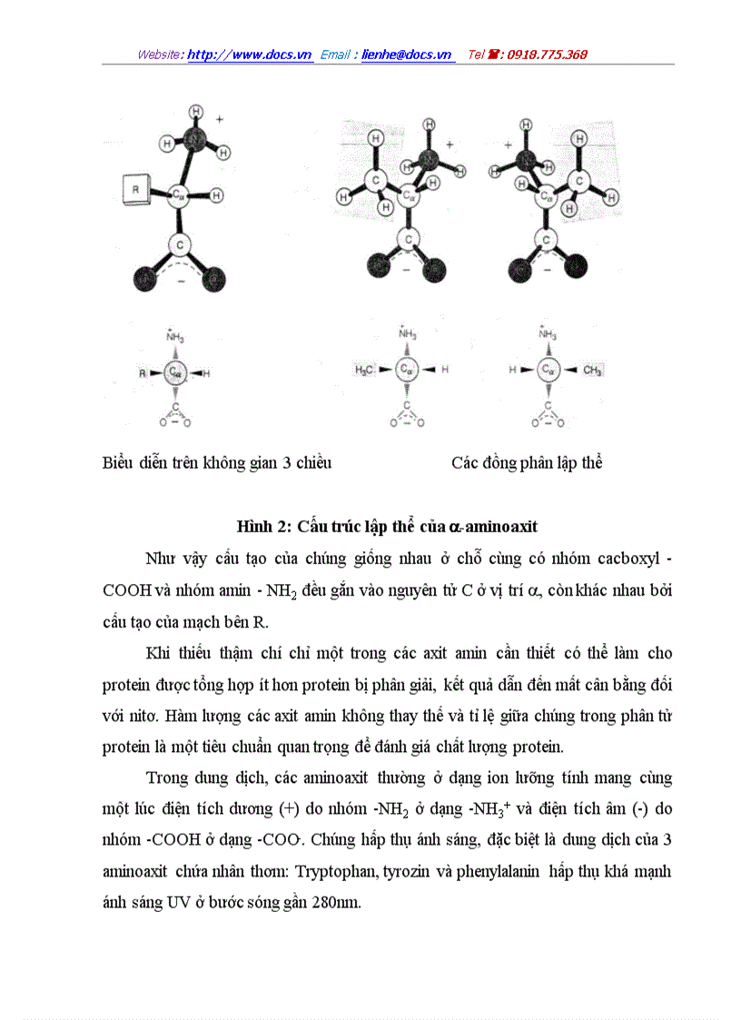 image for page Phương pháp cho phép xác định nhanh và tương đối chính xác hàm lượng các axit amin và protein trong thực phẩm