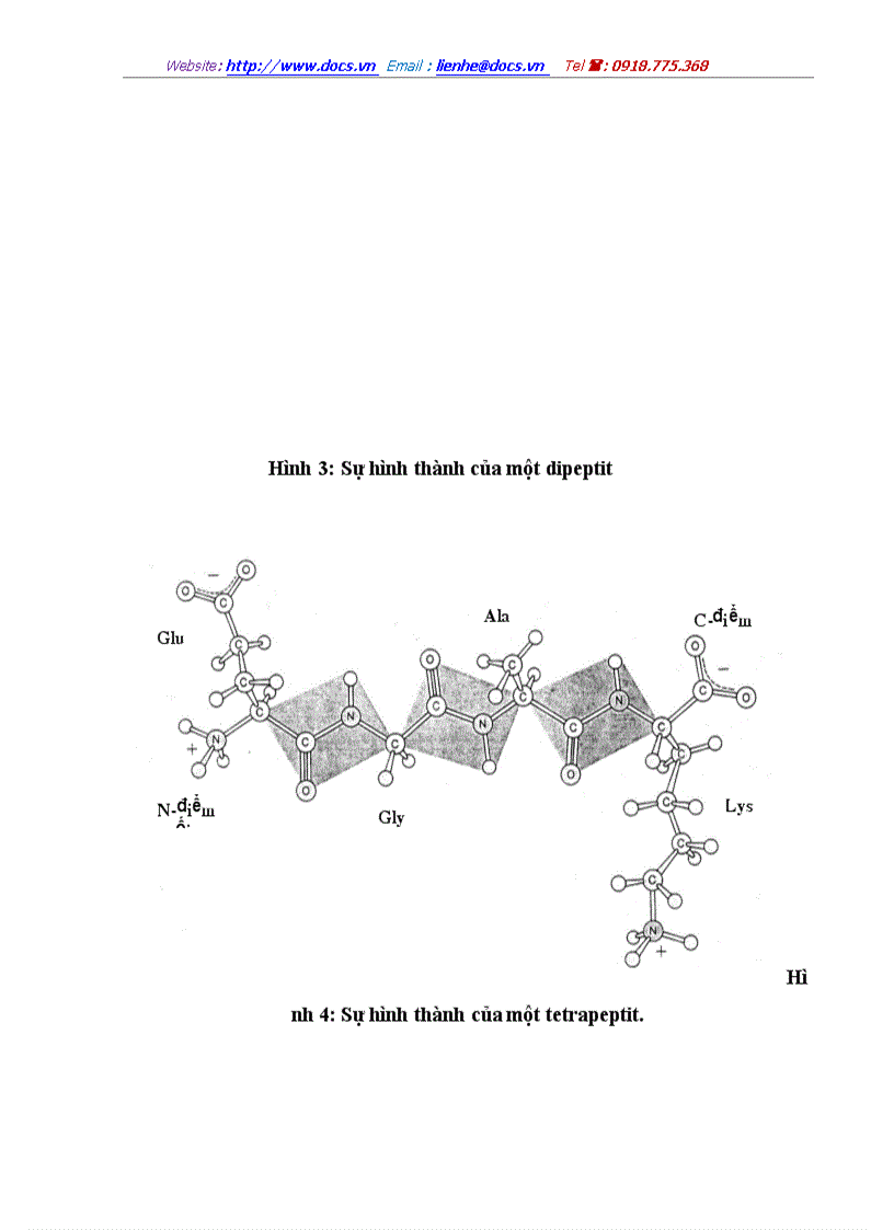 image for page Phương pháp cho phép xác định nhanh và tương đối chính xác hàm lượng các axit amin và protein trong thực phẩm