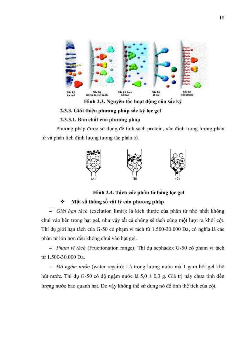 image for page Tách chiết tinh sạch và tính chất của protease từ nội tạng và đầu tôm sú