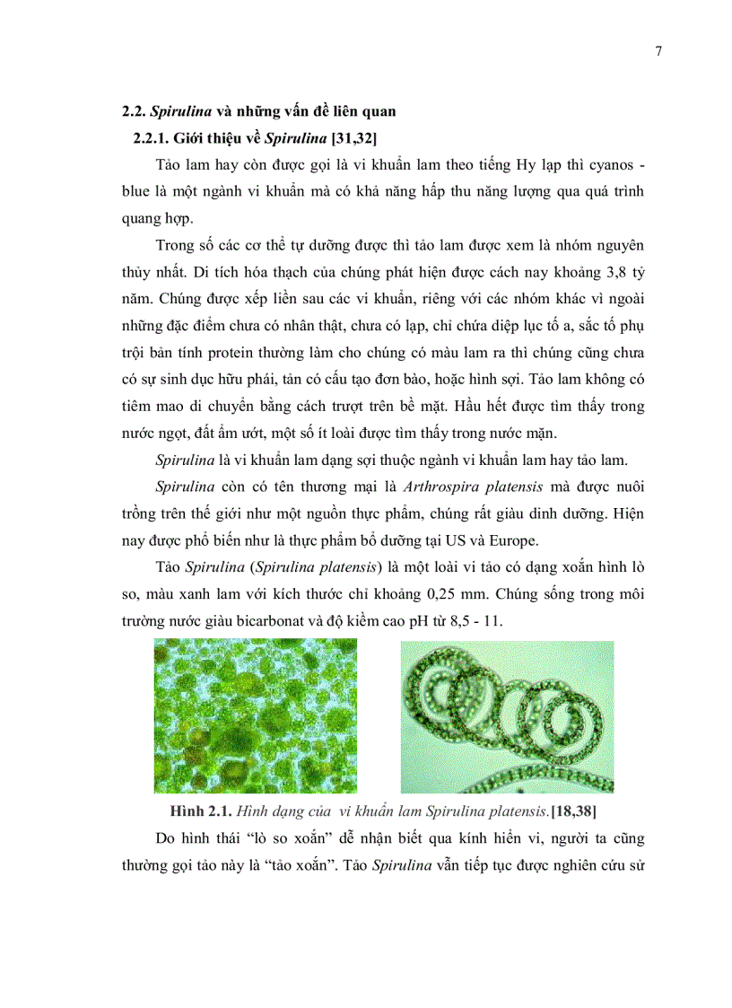 image for page NGHIÊN CỨU SỬ DỤNG SINH KHỐI VI KHUẨN LAM Spirulina platensis BỔ SUNG VÀO NUỚC GIẢI KHÁT