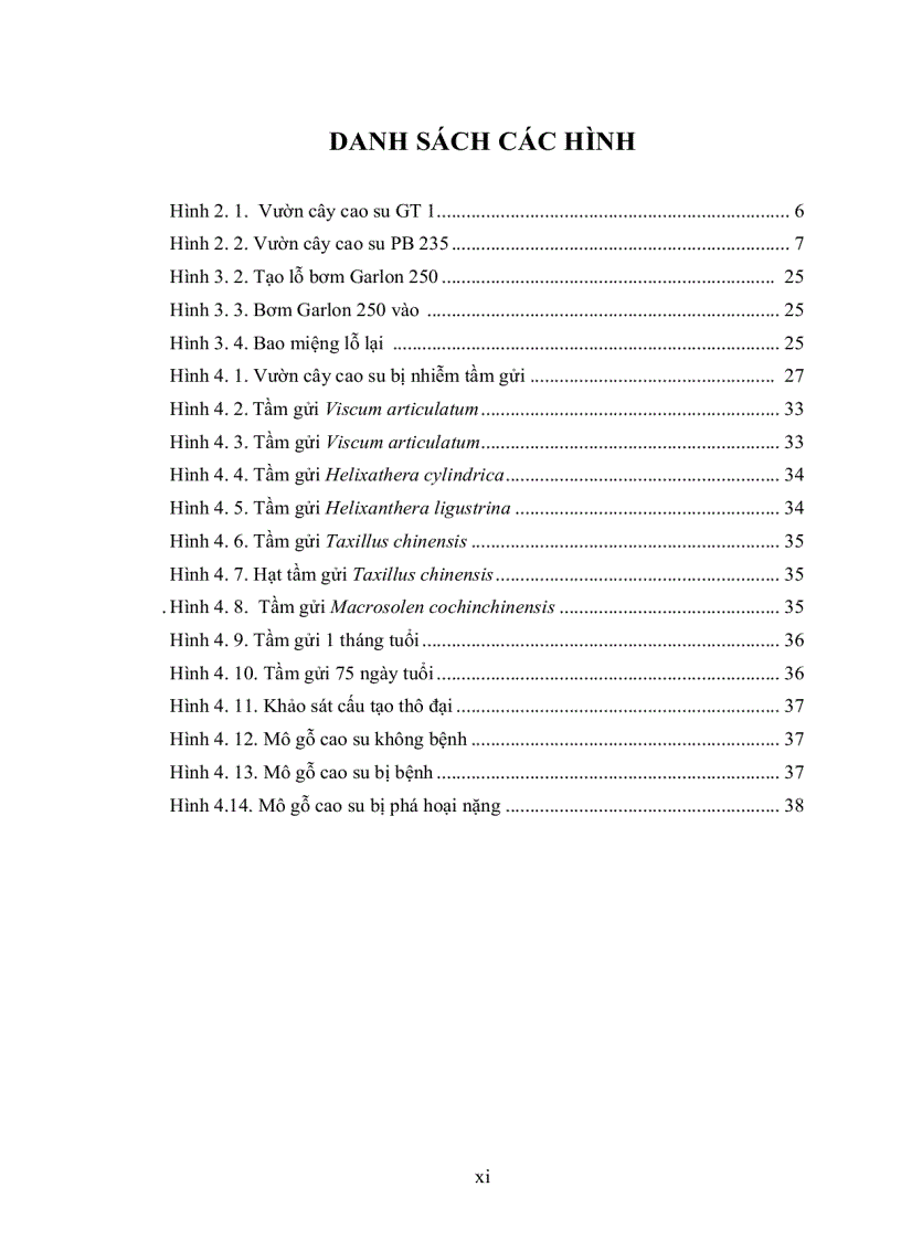 image for page Khảo sát đặc điểm sinh học chu trình phát triển và gây bệnh nhân tạo tầm gửi lá nhỏ Taxillus chinensis thuộc họ Loranthacea trên cây cao su Hevea