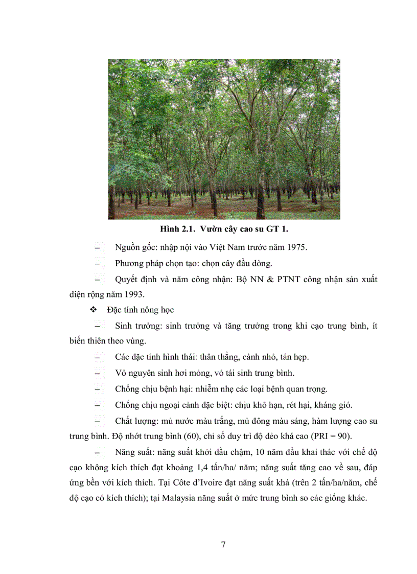 image for page Khảo sát đặc điểm sinh học chu trình phát triển và gây bệnh nhân tạo tầm gửi lá nhỏ Taxillus chinensis thuộc họ Loranthacea trên cây cao su Hevea