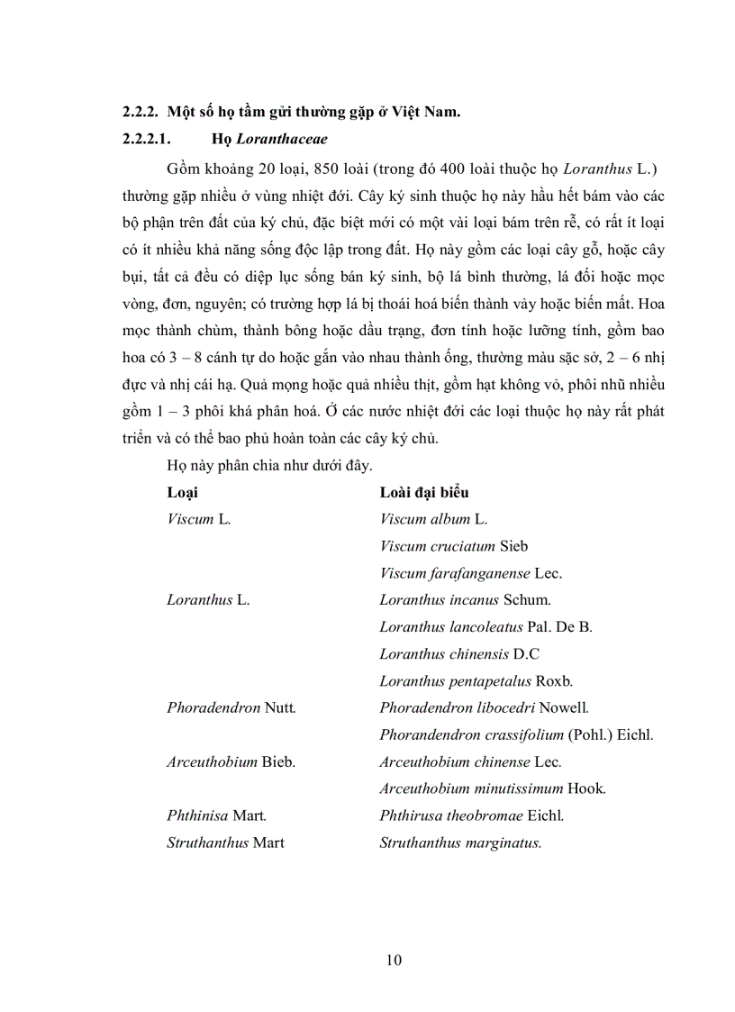image for page Khảo sát đặc điểm sinh học chu trình phát triển và gây bệnh nhân tạo tầm gửi lá nhỏ Taxillus chinensis thuộc họ Loranthacea trên cây cao su Hevea