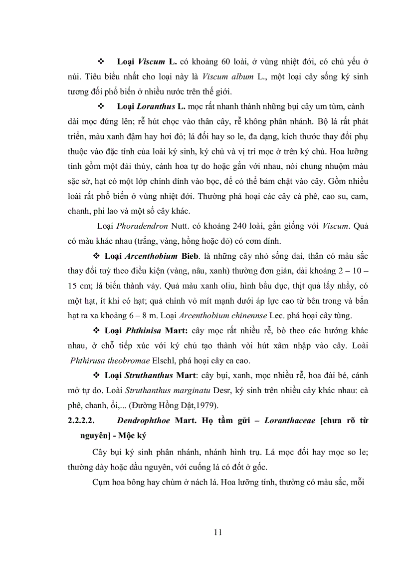 image for page Khảo sát đặc điểm sinh học chu trình phát triển và gây bệnh nhân tạo tầm gửi lá nhỏ Taxillus chinensis thuộc họ Loranthacea trên cây cao su Hevea