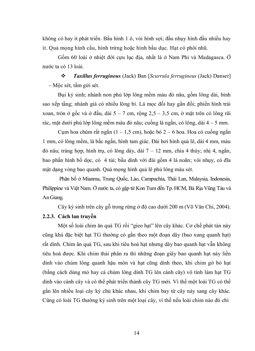 image for page Khảo sát đặc điểm sinh học chu trình phát triển và gây bệnh nhân tạo tầm gửi lá nhỏ Taxillus chinensis thuộc họ Loranthacea trên cây cao su Hevea