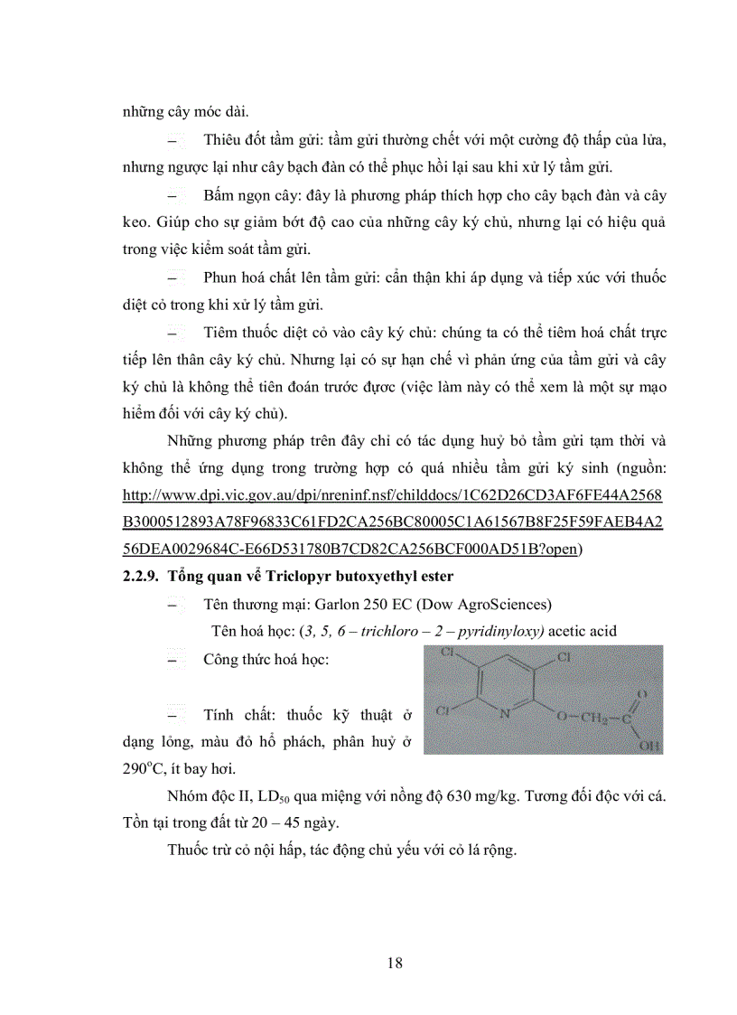 image for page Khảo sát đặc điểm sinh học chu trình phát triển và gây bệnh nhân tạo tầm gửi lá nhỏ Taxillus chinensis thuộc họ Loranthacea trên cây cao su Hevea