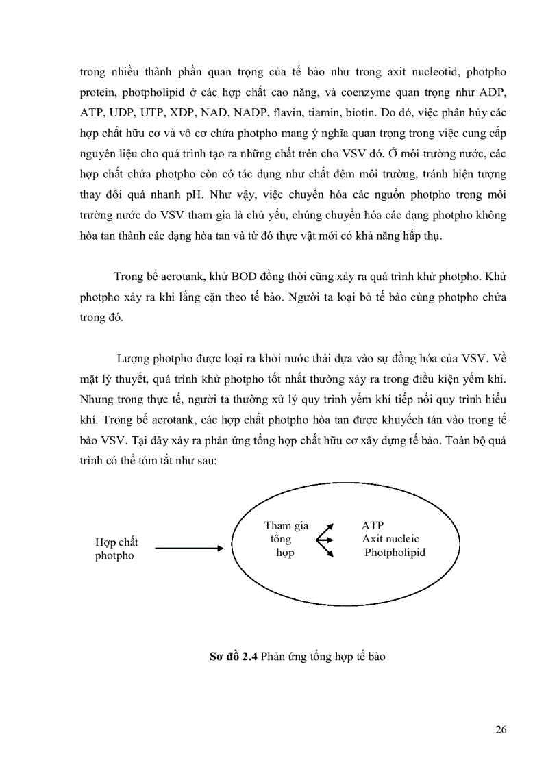 image for page Nghiên cứu ứng dụng rong để xử lý nitơ photpho trong nước thải sinh họat chợ đầu mối nông sản thủ đức