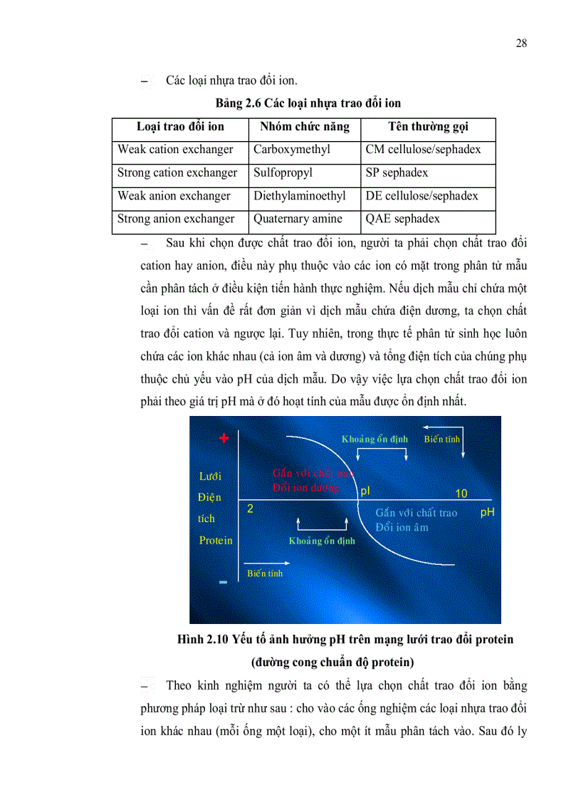 image for page TINH SẠCH ENZYME BROMELAIN TỪ THÂN DỨA Ananas comosus L Merr BẰNG PHƯƠNG PHÁP SẮC KÝ TRAO ĐỔI ION