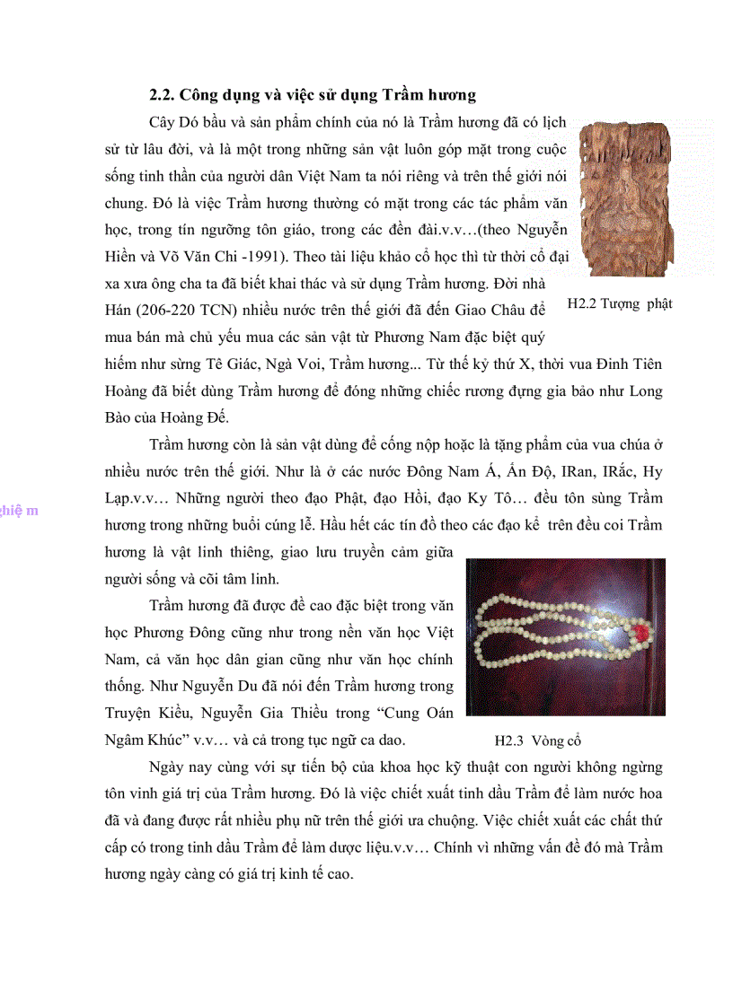 image for page Nghiên cứu gây tạo trầm hương trên cây dó bầu bằng phương pháp vi sinh và hóa học