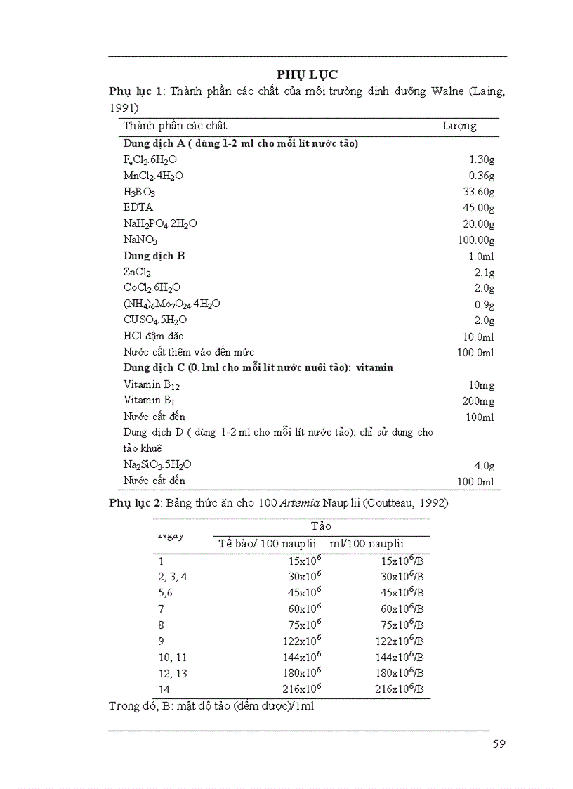 image for page Nâng cao hiệu quả của việc nuôi sinh khối artemia trên ruộng muối