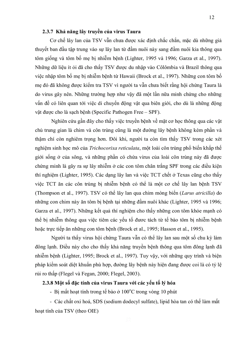 image for page Nghiên cứu đặc trưng protein của virus gây hội chứng đỏ đuôi ở tôm sú và tôm thẻ chân trắng