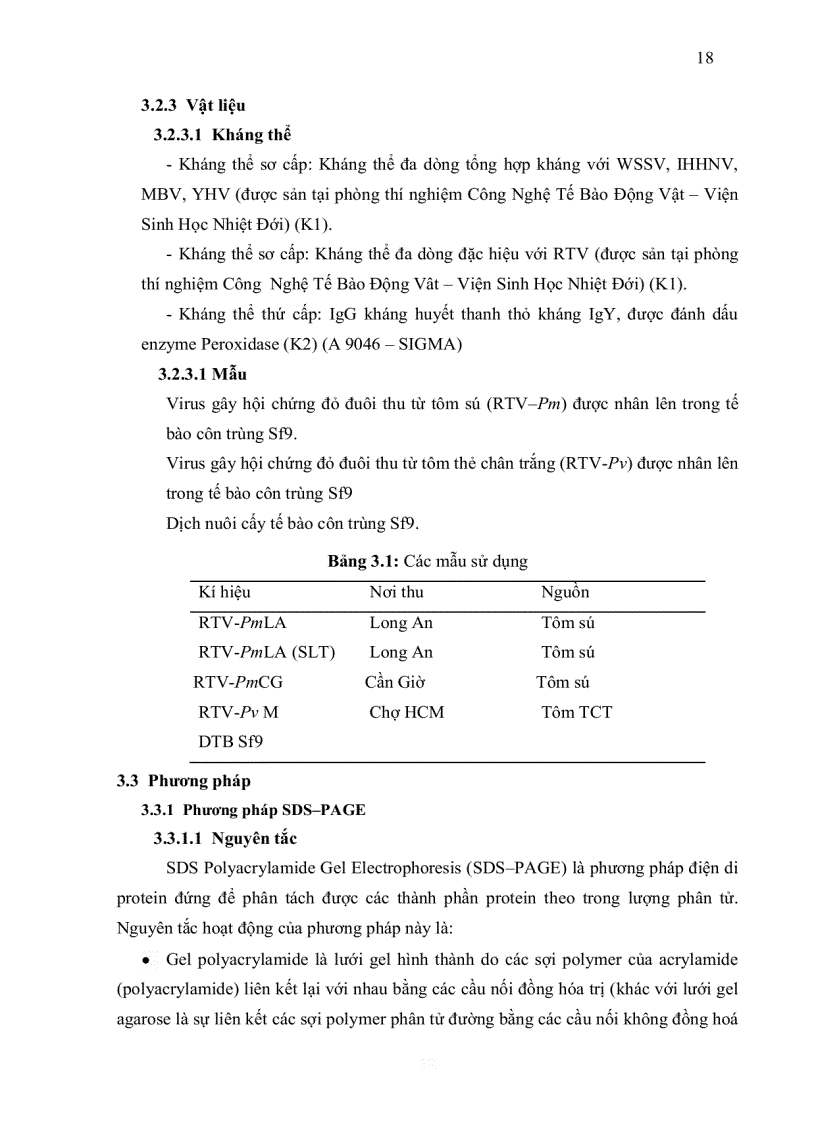 image for page Nghiên cứu đặc trưng protein của virus gây hội chứng đỏ đuôi ở tôm sú và tôm thẻ chân trắng
