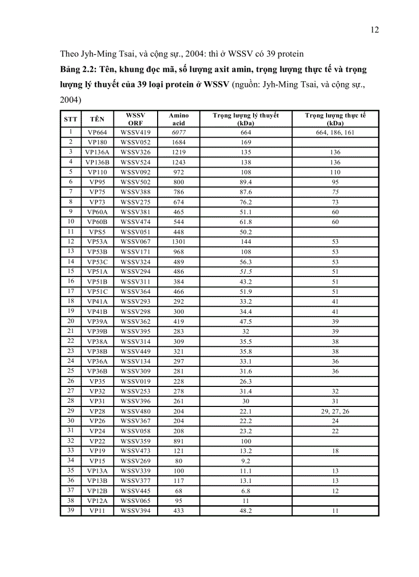 image for page XÁC ĐỊNH THÀNH PHẦN PROTEIN CỦA VIRUS GÂY HỘI CHỨNG ĐỐM TRẮNG NHÂN SINH KHỐI TRONG TẾ BÀO CÔN TRÙNG SEPODOTERA FRUGIPERDA Sf9 NUÔI CẤY IN VITRO