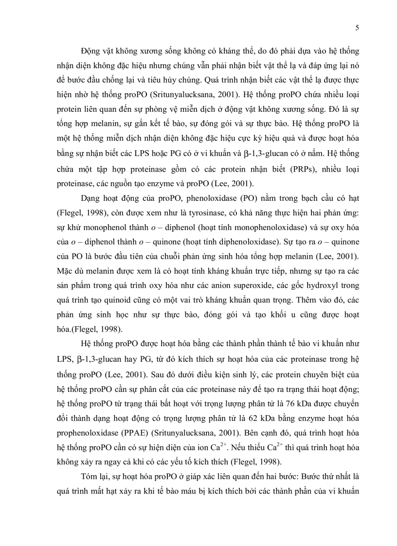 image for page Bước đầu khảo sát quá trình phát sinh bệnh pathogenesis của virus đốm trắng White Spot Syndrome Virus WSSV trên tôm sú Penaeus mondon