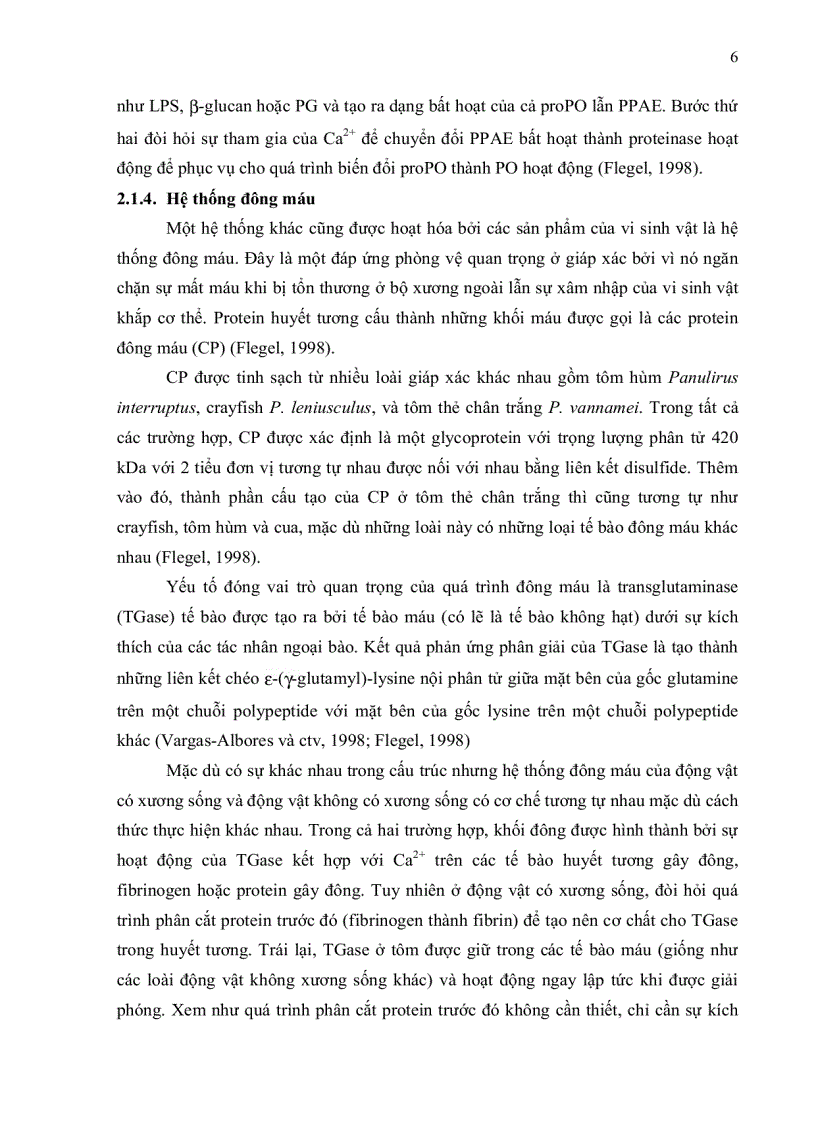 image for page Bước đầu khảo sát quá trình phát sinh bệnh pathogenesis của virus đốm trắng White Spot Syndrome Virus WSSV trên tôm sú Penaeus mondon