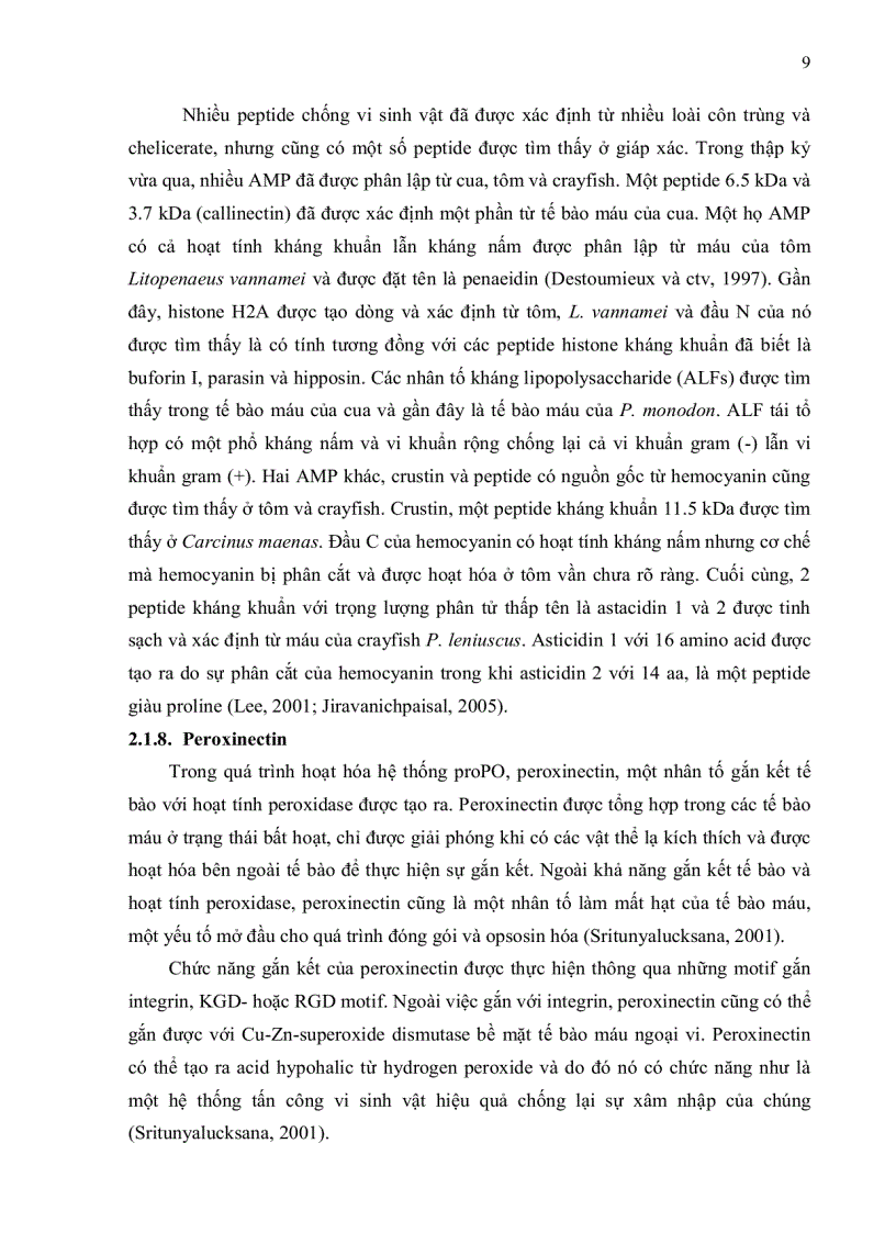 image for page Bước đầu khảo sát quá trình phát sinh bệnh pathogenesis của virus đốm trắng White Spot Syndrome Virus WSSV trên tôm sú Penaeus mondon