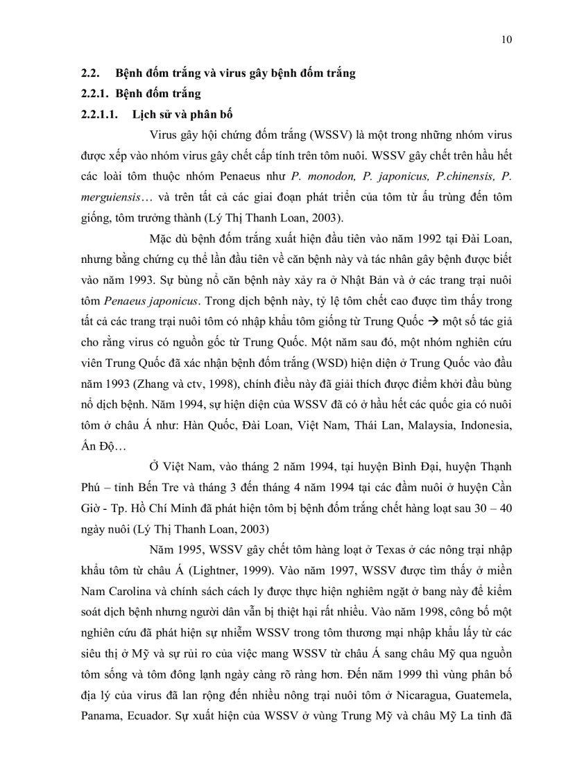 image for page Bước đầu khảo sát quá trình phát sinh bệnh pathogenesis của virus đốm trắng White Spot Syndrome Virus WSSV trên tôm sú Penaeus mondon