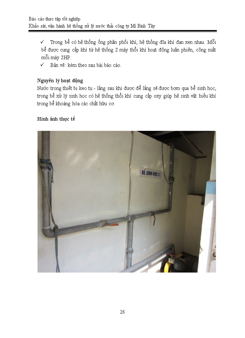image for page Báo cáo thực tập tốt nghiệp Khảo sát vận hành hệ thống xử lý nước thải công ty Mì Bình Tây kèm bản vẽ