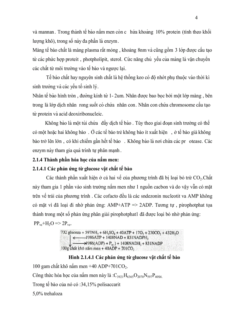 image for page Khảo sát các phương pháp tăng khả năng chịu nhiệt của nấm men