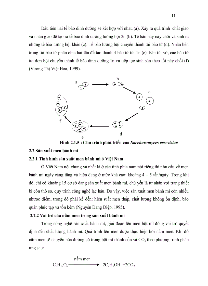 image for page Khảo sát các phương pháp tăng khả năng chịu nhiệt của nấm men