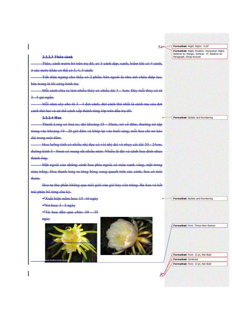 image for page Nghiên cứu thử nghiệm chế biến nước ép thanh long lên men