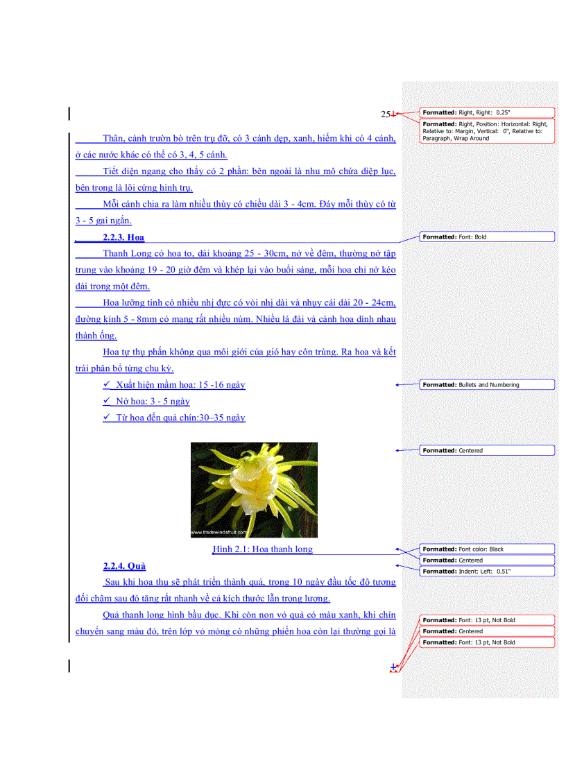 image for page Nghiên cứu thử nghiệm chế biến nước ép thanh long lên men