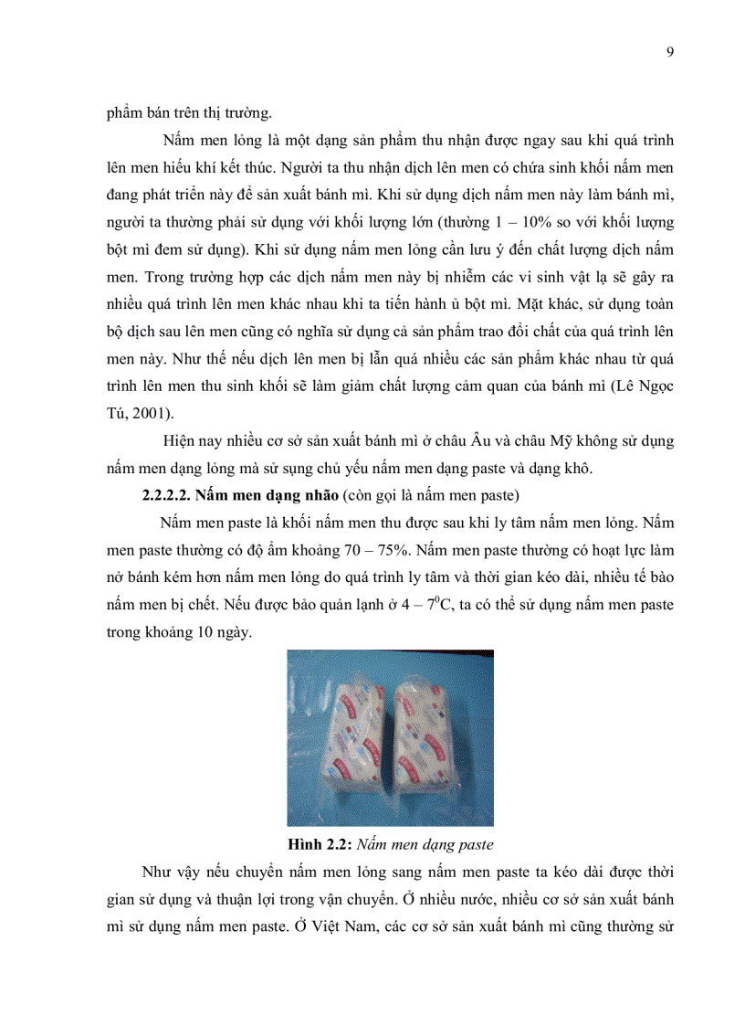 image for page Nghiên cứu quy trình sấy men bánh mì bằng phương pháp sấy tầng sôi