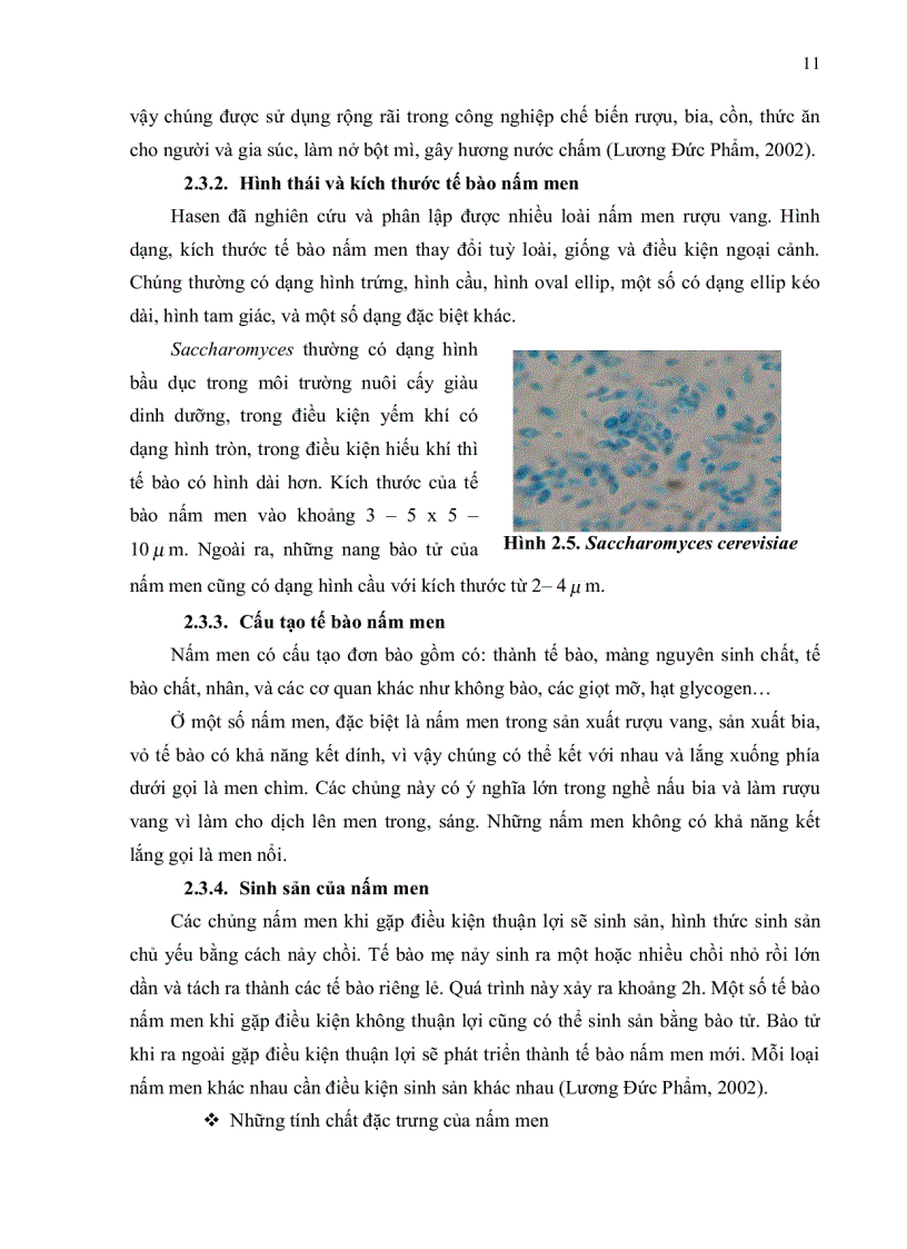 image for page Nghiên cứu thử nghiệm chế biến rượu vang sabôchê