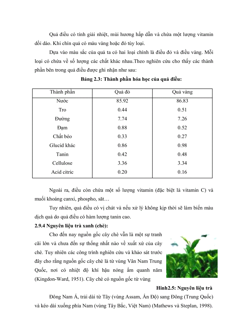 image for page Thử nghiệm lên men giấm trái cây theo phương pháp lên men hồi lưu cố định vi khuẩn trên giá thể